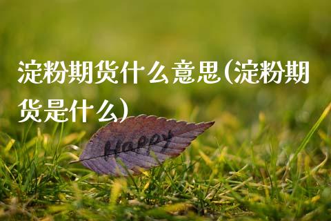 淀粉期货什么意思(淀粉期货是什么)_https://www.zghnxxa.com_黄金期货_第1张