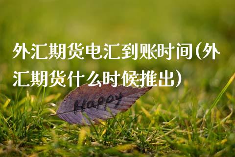 外汇期货电汇到账时间(外汇期货什么时候推出)_内盘期货_第1张_期货直播室 外汇期货电汇到账时间(外汇期货什么时候推出)_https://www.zghnxxa.com_内盘期货_第1张