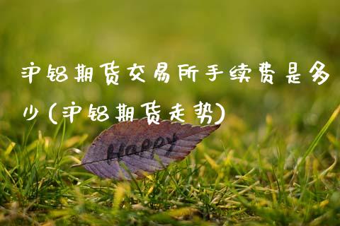 沪铝期货交易所手续费是多少(沪铝期货走势)_https://www.zghnxxa.com_国际期货_第1张