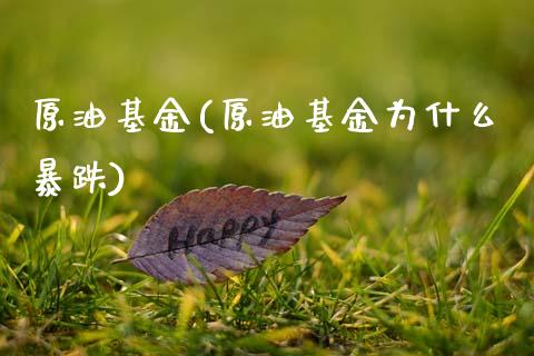 原油基金(原油基金为什么暴跌)_https://www.zghnxxa.com_国际期货_第1张