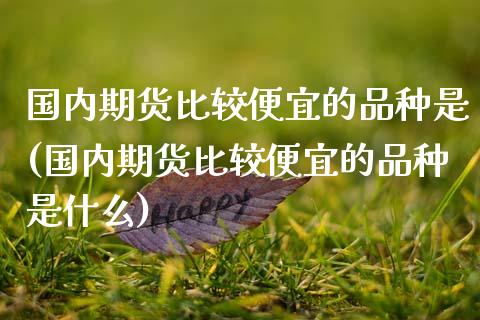 国内期货比较便宜的品种是(国内期货比较便宜的品种是什么)_https://www.zghnxxa.com_期货直播室_第1张