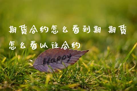 期货合约怎么看到期 期货怎么看以往合约_https://www.zghnxxa.com_黄金期货_第1张