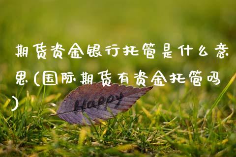 期货资金银行托管是什么意思(国际期货有资金托管吗)_https://www.zghnxxa.com_期货直播室_第1张