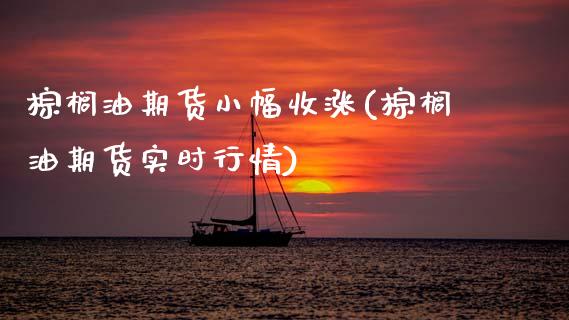 棕榈油期货小幅收涨(棕榈油期货实时行情)_https://www.zghnxxa.com_黄金期货_第1张