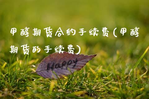 甲醇期货合约手续费(甲醇期货的手续费)_https://www.zghnxxa.com_黄金期货_第1张