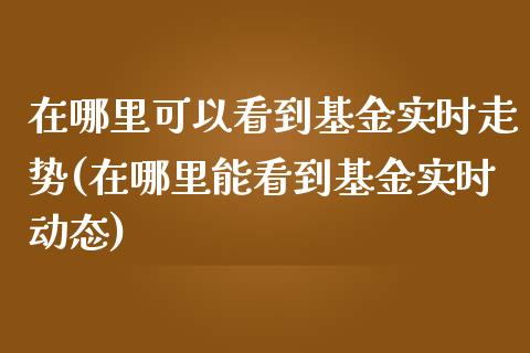 在哪里可以看到基金实时走势(在哪里能看到基金实时动态)_黄金期货_第1张_期货直播室 在哪里可以看到基金实时走势(在哪里能看到基金实时动态)_https://www.zghnxxa.com_黄金期货_第1张