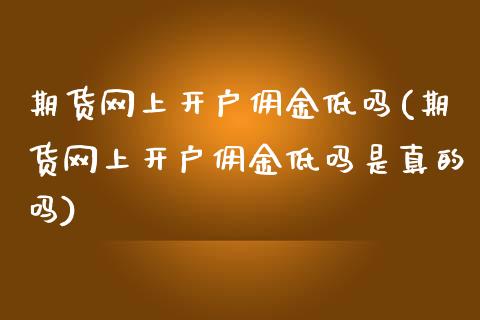 期货网上开户佣金低吗(期货网上开户佣金低吗是真的吗)_https://www.zghnxxa.com_黄金期货_第1张