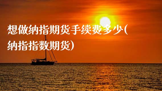 想做纳指期货手续费多少(纳指指数期货)_https://www.zghnxxa.com_内盘期货_第1张