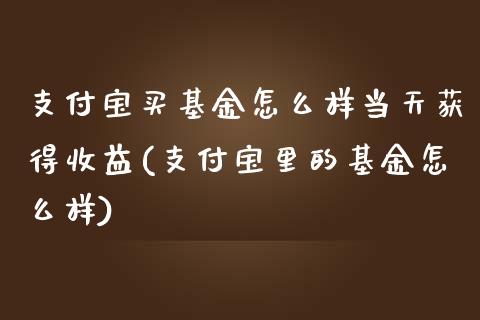 支付宝买基金怎么样当天获得收益(支付宝里的基金怎么样)_https://www.zghnxxa.com_期货直播室_第1张