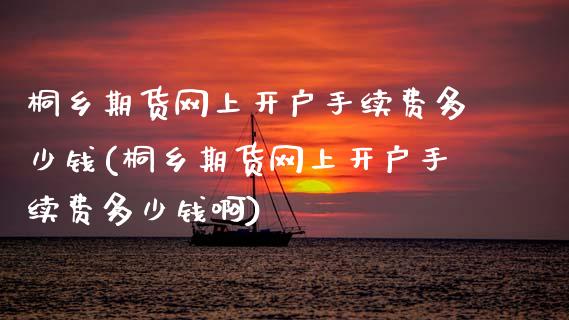 桐乡期货网上开户手续费多少钱(桐乡期货网上开户手续费多少钱啊)_https://www.zghnxxa.com_内盘期货_第1张