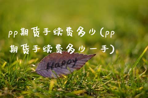 pp期货手续费多少(pp期货手续费多少一手)_https://www.zghnxxa.com_期货直播室_第1张