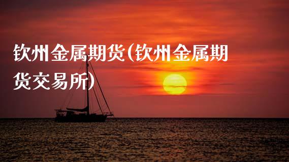 钦州金属期货(钦州金属期货交易所)_https://www.zghnxxa.com_期货直播室_第1张