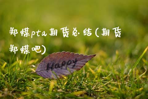 郑煤pta期货总结(期货郑煤吧)_https://www.zghnxxa.com_国际期货_第1张