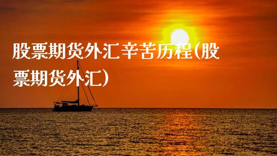 股票期货外汇辛苦历程(股票期货外汇)_https://www.zghnxxa.com_内盘期货_第1张