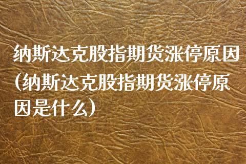 纳斯达克股指期货涨停原因(纳斯达克股指期货涨停原因是什么)_https://www.zghnxxa.com_期货直播室_第1张