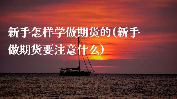 新手怎样学做期货的(新手做期货要注意什么)_https://www.zghnxxa.com_黄金期货_第1张
