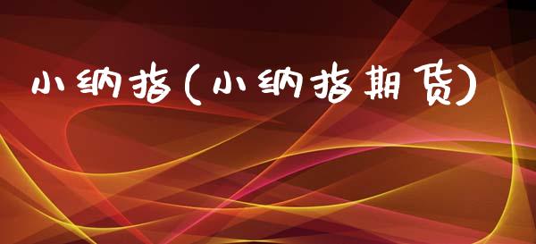 小纳指(小纳指期货)_https://www.zghnxxa.com_内盘期货_第1张