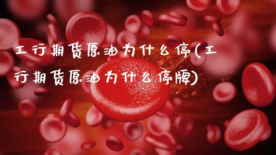 工行期货原油为什么停(工行期货原油为什么停牌)_https://www.zghnxxa.com_期货直播室_第1张
