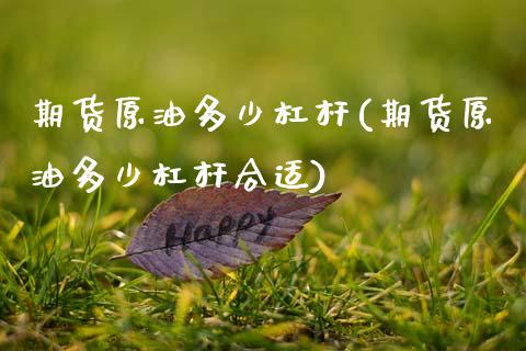 期货原油多少杠杆(期货原油多少杠杆合适)_https://www.zghnxxa.com_黄金期货_第1张