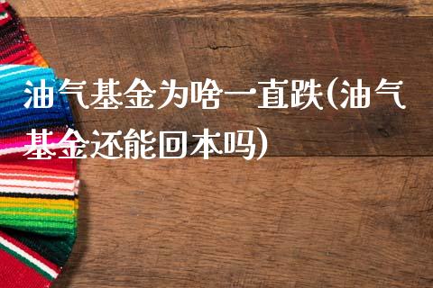 油气基金为啥一直跌(油气基金还能回本吗)_内盘期货_第1张_期货直播室 油气基金为啥一直跌(油气基金还能回本吗)_https://www.zghnxxa.com_内盘期货_第1张