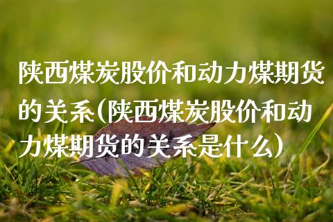 陕西煤炭股价和动力煤期货的关系(陕西煤炭股价和动力煤期货的关系是什么)_黄金期货_第1张_期货直播室 陕西煤炭股价和动力煤期货的关系(陕西煤炭股价和动力煤期货的关系是什么)_https://www.zghnxxa.com_黄金期货_第1张