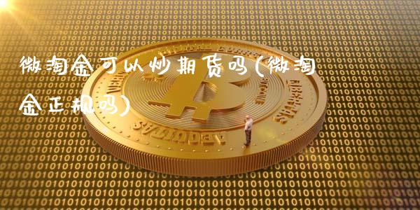 微淘金可以炒期货吗(微淘金正规吗)_https://www.zghnxxa.com_期货直播室_第1张