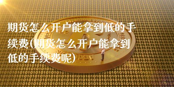 期货怎么开户能拿到低的手续费(期货怎么开户能拿到低的手续费呢)_https://www.zghnxxa.com_国际期货_第1张