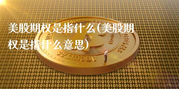 美股期权是指什么(美股期权是指什么意思)_https://www.zghnxxa.com_黄金期货_第1张