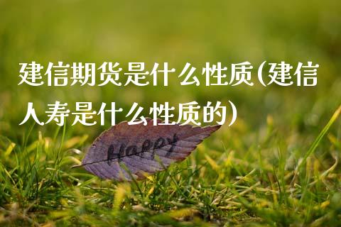 建信期货是什么性质(建信人寿是什么性质的)_https://www.zghnxxa.com_黄金期货_第1张