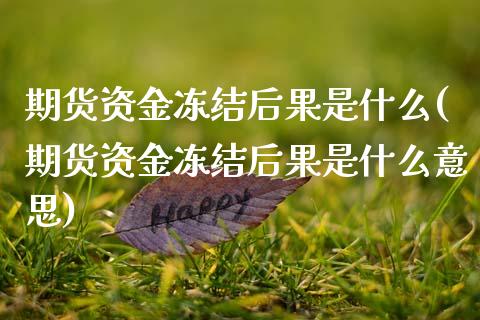 期货资金冻结后果是什么(期货资金冻结后果是什么意思)_https://www.zghnxxa.com_内盘期货_第1张