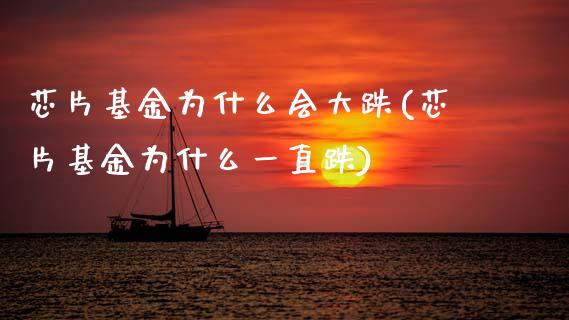 芯片基金为什么会大跌(芯片基金为什么一直跌)_https://www.zghnxxa.com_国际期货_第1张