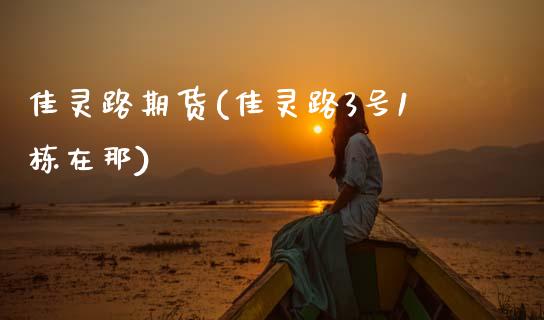 佳灵路期货(佳灵路3号1栋在那)_https://www.zghnxxa.com_内盘期货_第1张