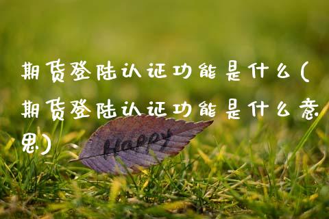 期货登陆认证功能是什么(期货登陆认证功能是什么意思)_https://www.zghnxxa.com_黄金期货_第1张