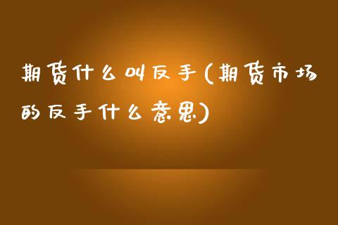 期货什么叫反手(期货市场的反手什么意思)_https://www.zghnxxa.com_期货直播室_第1张