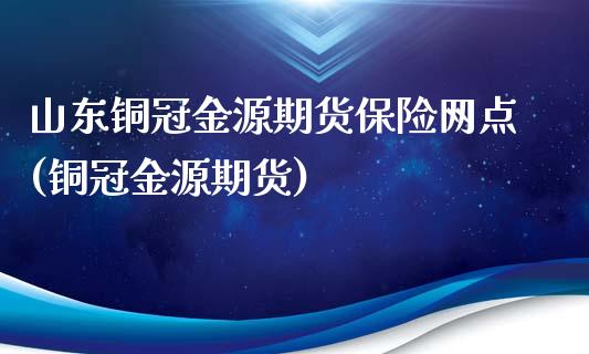 山东铜冠金源期货保险网点(铜冠金源期货)_https://www.zghnxxa.com_国际期货_第1张