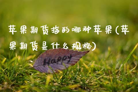 苹果期货指的哪种苹果(苹果期货是什么规格)_内盘期货_第1张_期货直播室 苹果期货指的哪种苹果(苹果期货是什么规格)_https://www.zghnxxa.com_内盘期货_第1张