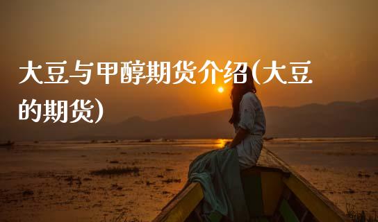 大豆与甲醇期货介绍(大豆的期货)_https://www.zghnxxa.com_国际期货_第1张