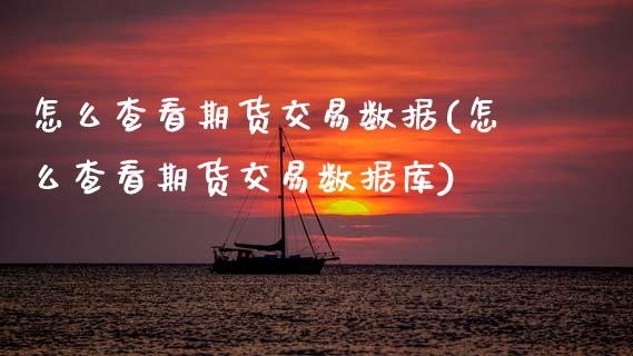 怎么查看期货交易数据(怎么查看期货交易数据库)_https://www.zghnxxa.com_内盘期货_第1张