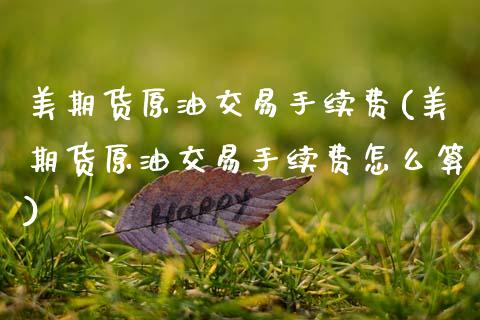 美期货原油交易手续费(美期货原油交易手续费怎么算)_https://www.zghnxxa.com_内盘期货_第1张