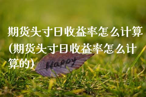期货头寸日收益率怎么计算(期货头寸日收益率怎么计算的)_https://www.zghnxxa.com_期货直播室_第1张