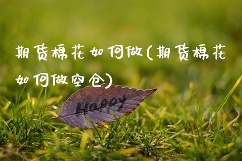 期货棉花如何做(期货棉花如何做空仓)_https://www.zghnxxa.com_内盘期货_第1张