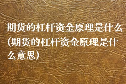 期货的杠杆资金原理是什么(期货的杠杆资金原理是什么意思)_https://www.zghnxxa.com_国际期货_第1张
