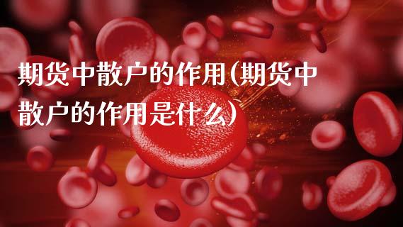 期货中散户的作用(期货中散户的作用是什么)_https://www.zghnxxa.com_内盘期货_第1张