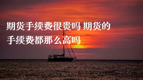 期货手续费很贵吗 期货的手续费都那么高吗_https://www.zghnxxa.com_黄金期货_第1张