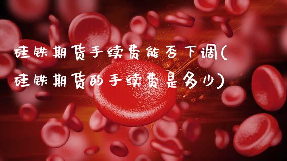 硅铁期货手续费能否下调(硅铁期货的手续费是多少)_https://www.zghnxxa.com_黄金期货_第1张