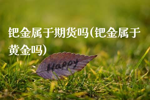钯金属于期货吗(钯金属于黄金吗)_https://www.zghnxxa.com_期货直播室_第1张