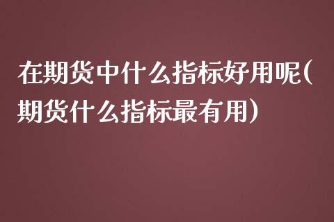 在期货中什么指标好用呢(期货什么指标最有用)_https://www.zghnxxa.com_内盘期货_第1张