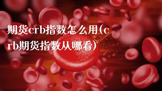 期货crb指数怎么用(crb期货指数从哪看)_国际期货_第1张_期货直播室 期货crb指数怎么用(crb期货指数从哪看)_https://www.zghnxxa.com_国际期货_第1张