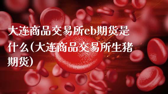 大连商品交易所eb期货是什么(大连商品交易所生猪期货)_内盘期货_第1张_期货直播室 大连商品交易所eb期货是什么(大连商品交易所生猪期货)_https://www.zghnxxa.com_内盘期货_第1张