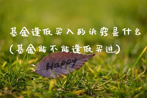 基金逢低买入的诀窍是什么(基金能不能逢低买进)_内盘期货_第1张_期货直播室 基金逢低买入的诀窍是什么(基金能不能逢低买进)_https://www.zghnxxa.com_内盘期货_第1张